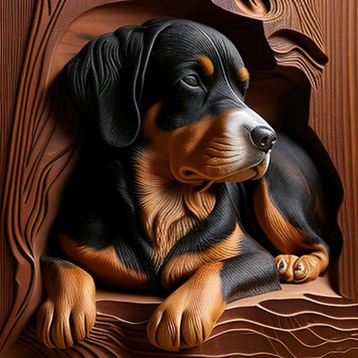 3D model Entlebucher sennenhund dog (STL)